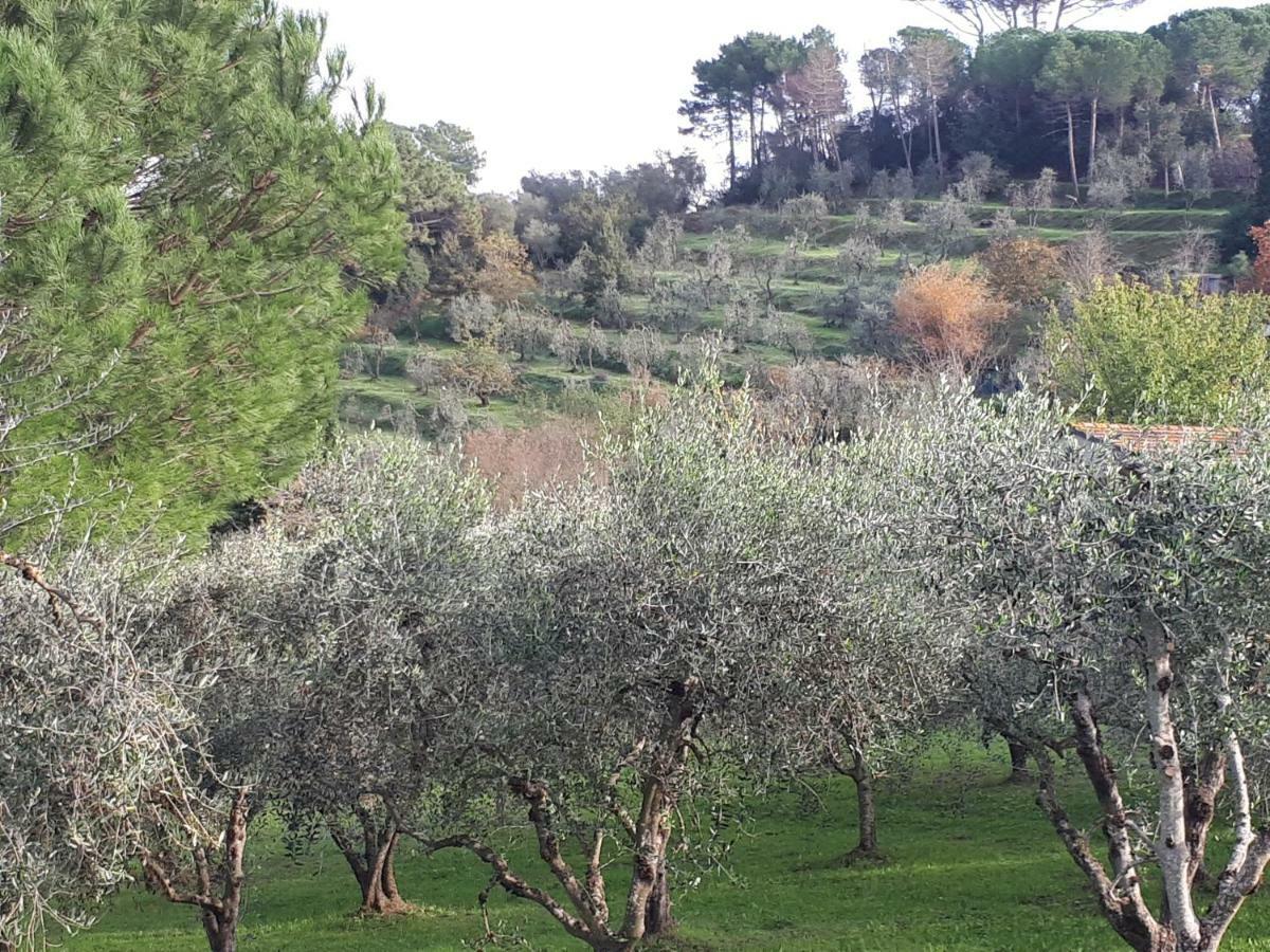 Agriturismo Anna-Rosa Legoli Buitenkant foto